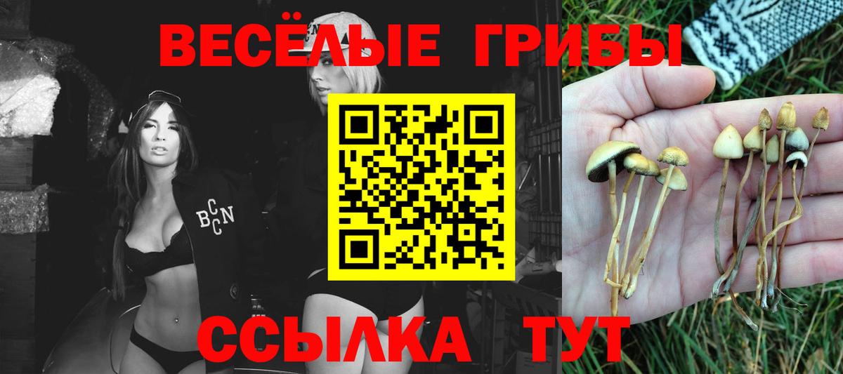 Нефтекумск  Псилоцибиновые грибы мицелий  купить   Вход с VPN 